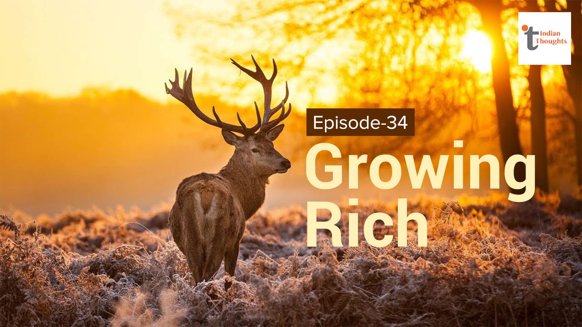 Growing rich